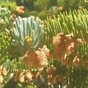 Meet your Posher, Jinghui